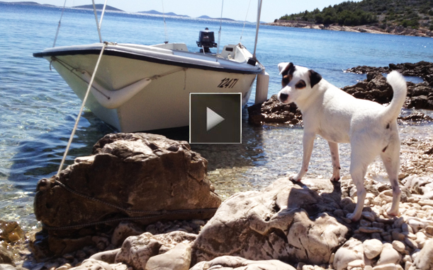 Parson Russell Terrier ZARA - Nice Life - chovatelska stanica - dovolenka v Chorvatsku 2012 - Makarska